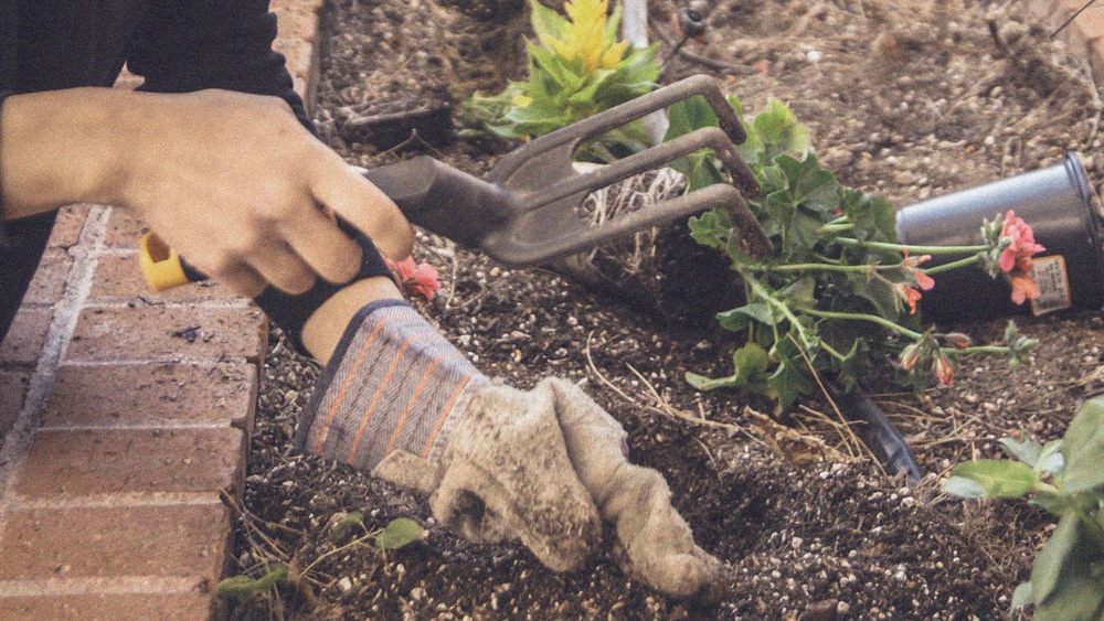 Imagebild: Frau bei der Gartenarbeit mit Werkzeug und Handschuhen