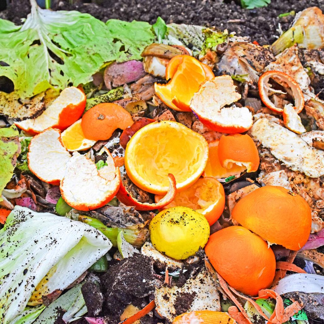 Kompost: Haufen mit Schalen von Zitrusfrüchten