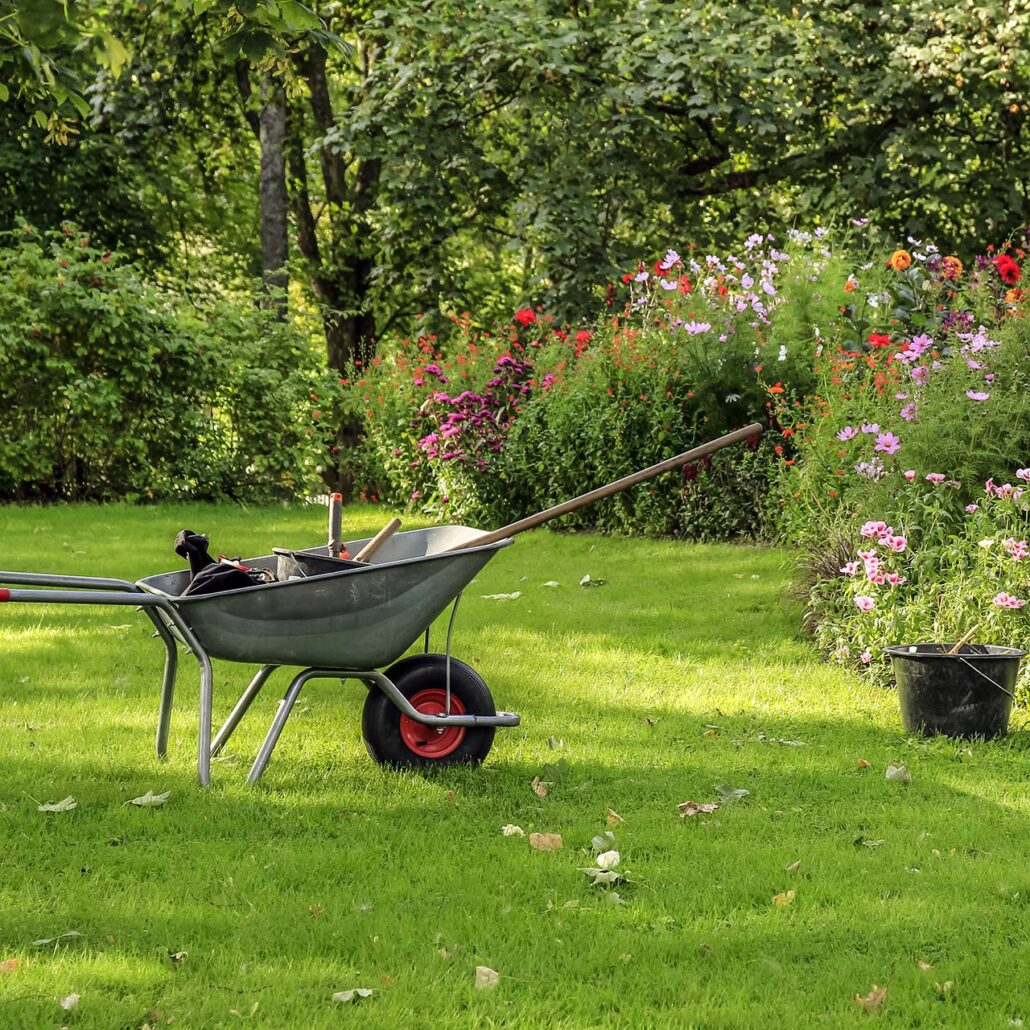Gartengeräte: Schubkarre mit Werkzeugen auf einer Wiese